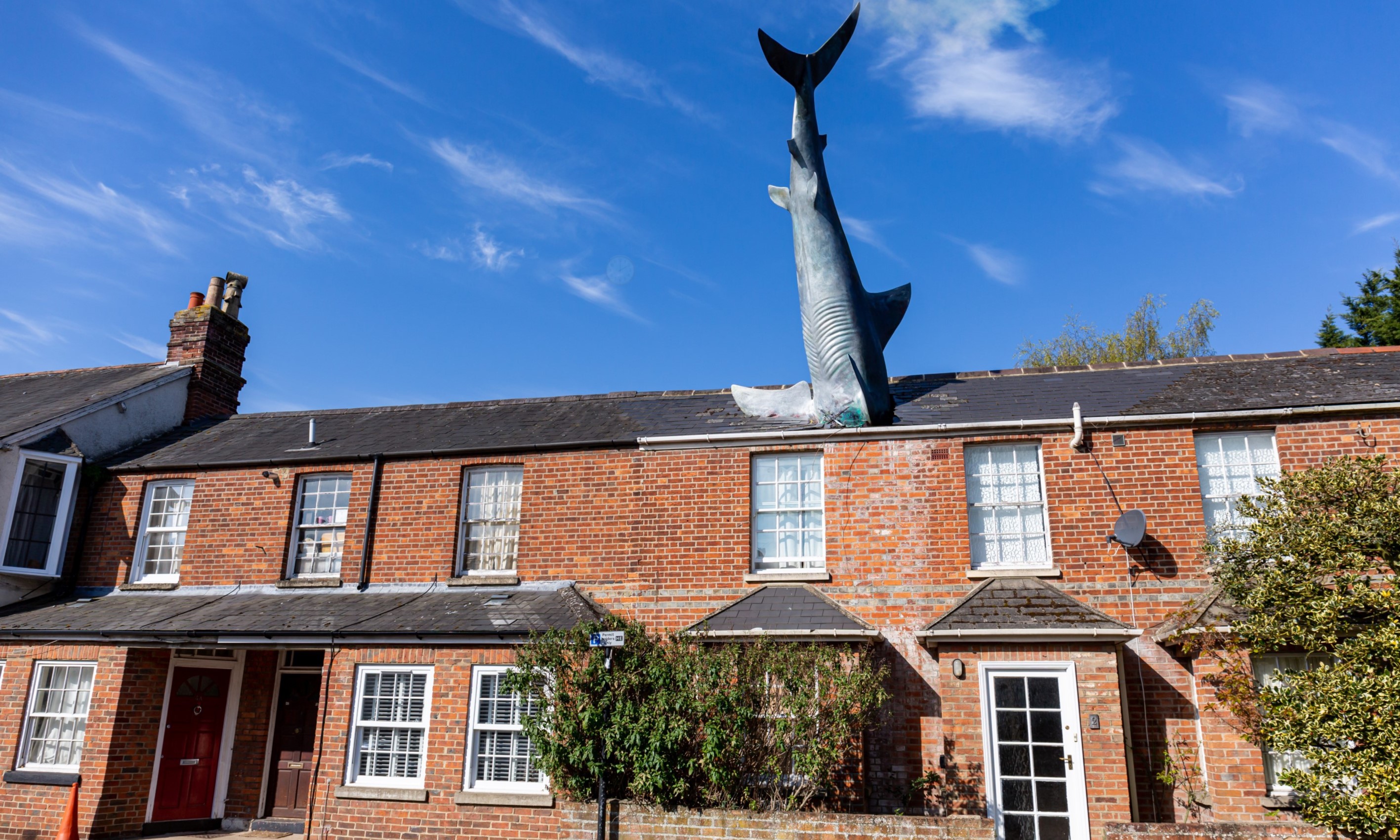 We're going to need a bigger roof A fibreglass shark is embedded =in the roof of a terraced house in Oxford